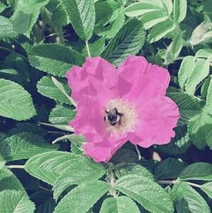 Meet your Posher, Caleb